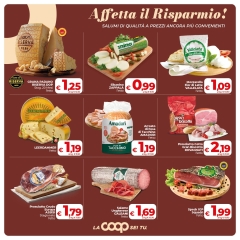 COOP-11_pages-to-jpg-0005