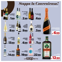 COOP-11_pages-to-jpg-0017