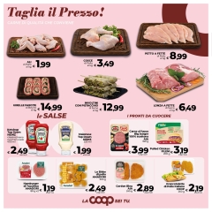 VOL-WEB-COOP-24_pages-to-jpg-0008