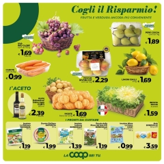 VOL-WEB-COOP-24_pages-to-jpg-0009